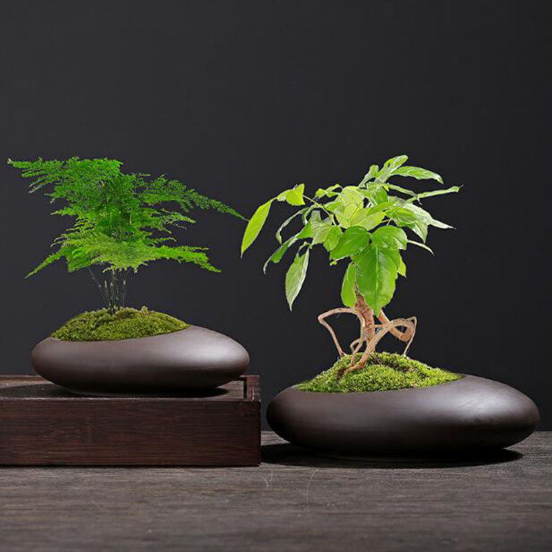 กระถางดินเผาสีม่วงสไตล์จีน สำห - Tagine Clay Pot บทวิจารณ์และราคา