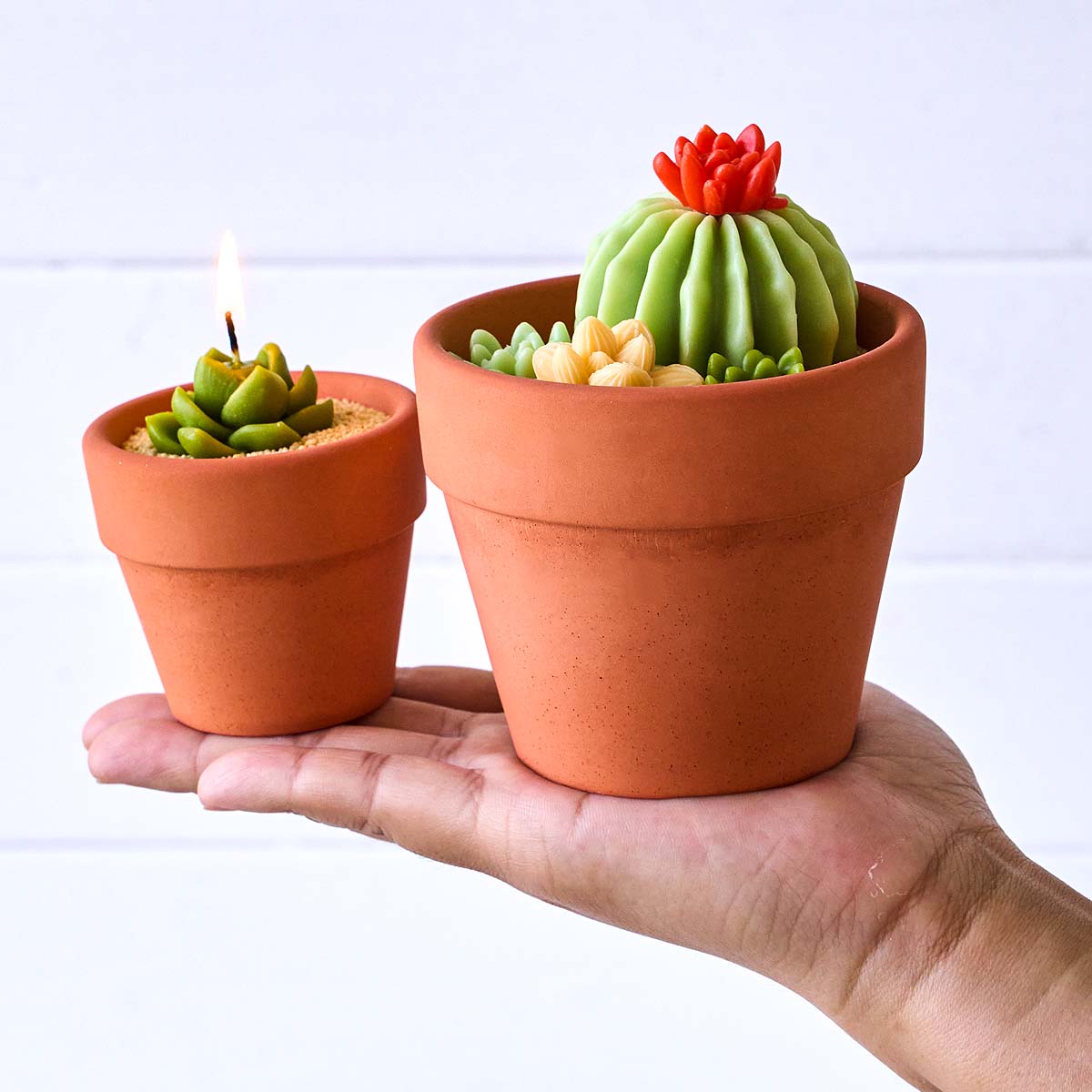 แม่พิมพ์ซิลิโคนรูปทรงกระถางเที - Tagine Clay Pot บทวิจารณ์และราคา