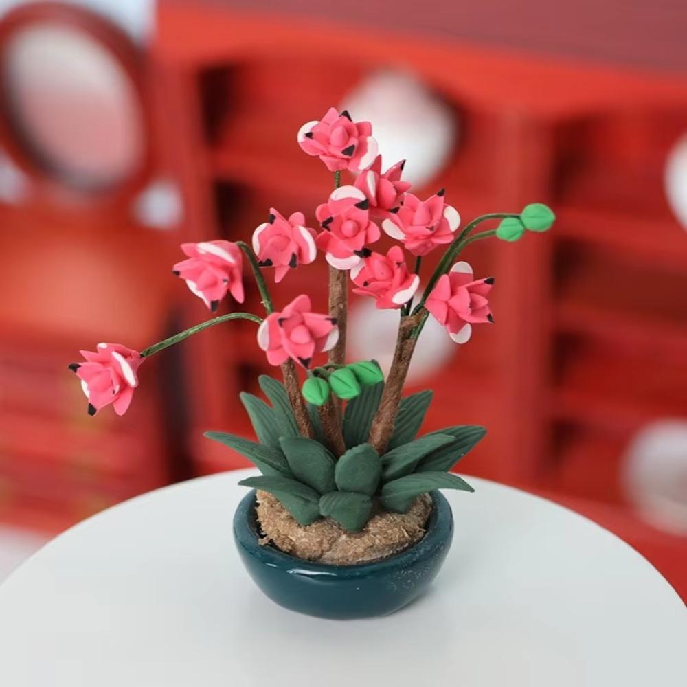 กระถางดอกไม้จิ๋ว ฉากสวน 1 ชิ้น - Tagine Clay Pot บทวิจารณ์และราคา