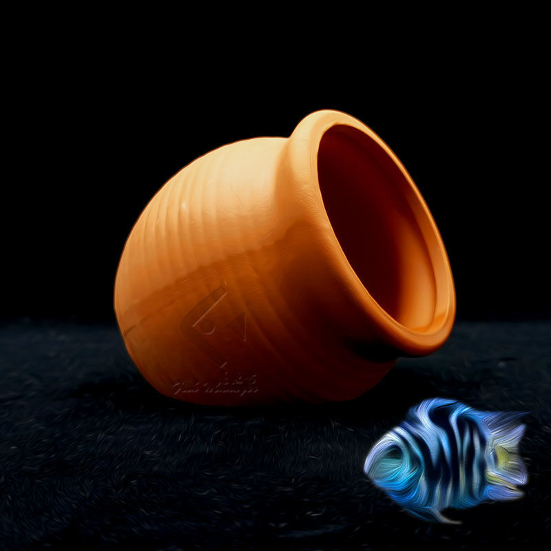Aquarium Mini เซรามิคถังปลากุ้ - Tagine Clay Pot บทวิจารณ์และราคา